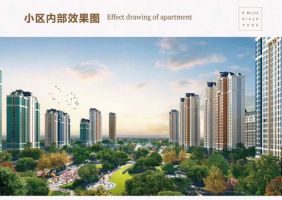 云河上院项目正是依龙凤新河而建，推窗即可畅享“天然氧吧”