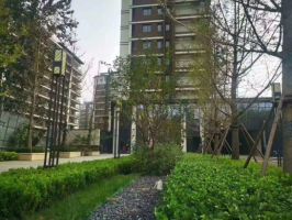 绿城·诚园准现房在售