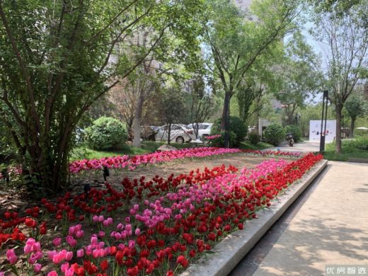 荣盛康旅阿卡小镇，打造北中国海全系度假旅居胜地