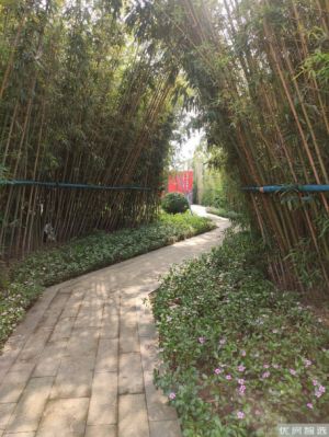 秦皇皓月城皓月·天朗小区规模大吗，是什么样的建筑风格