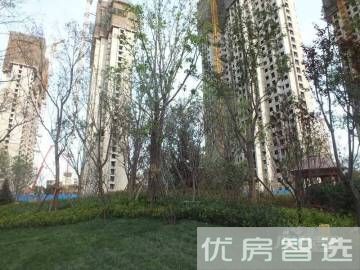 伊人风情街均价11000元/㎡剩余现房有限