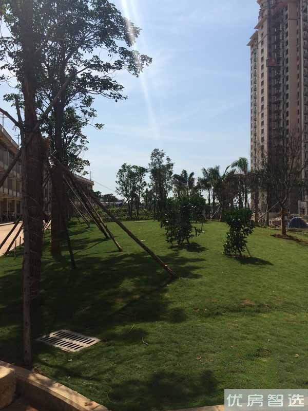青龙碧海金珠花园97