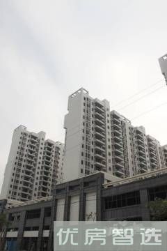 四季康城三期荣和新城97
