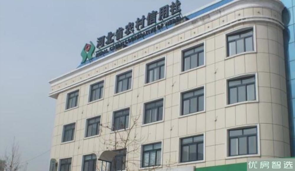 博辉戴河国际97