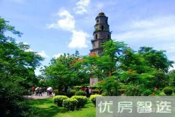 爱克养生谷97