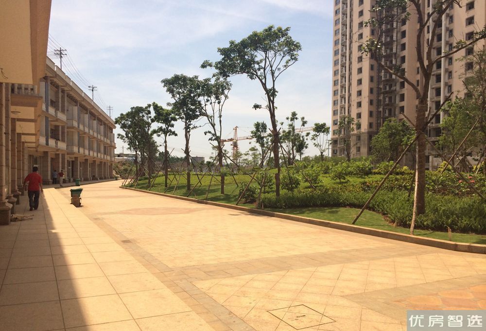 青龙碧海金珠花园97