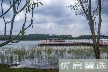 爱克养生谷97