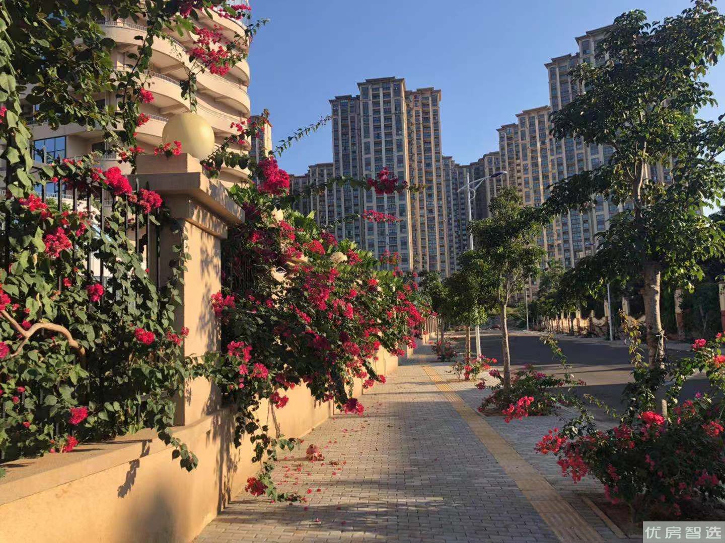 盈滨福宜圣地97