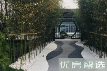 泽信公馆97