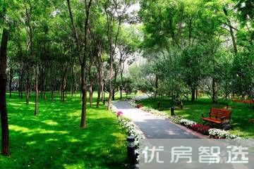 合生霄云路8号97