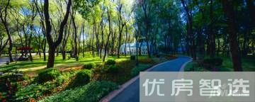 合生霄云路8号97