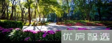 合生霄云路8号97