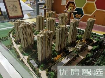 碧桂园·森林海6500元/平方米
