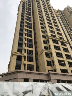 奥林第一城在售价格为：6666元/平方米