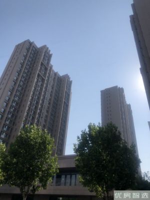 孔雀庭院在售价格为：15000元/平方米