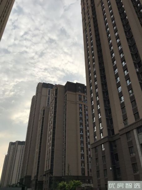 茂华中心府