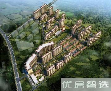 大厂菩提园最新动态