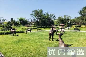 天地新城11500元/平方米