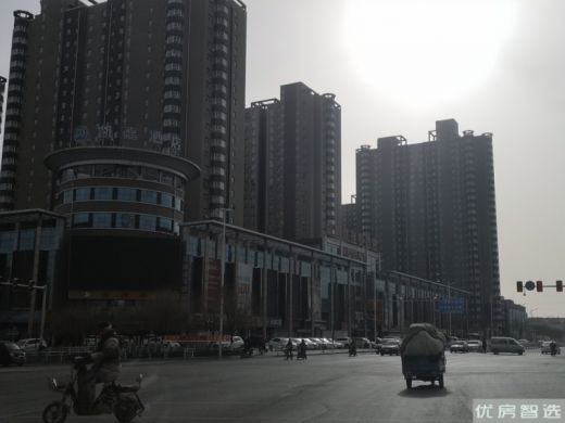 森林雅居售楼处电话年后即可接通！