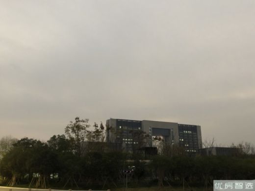 锦园2#5#8#楼在售，