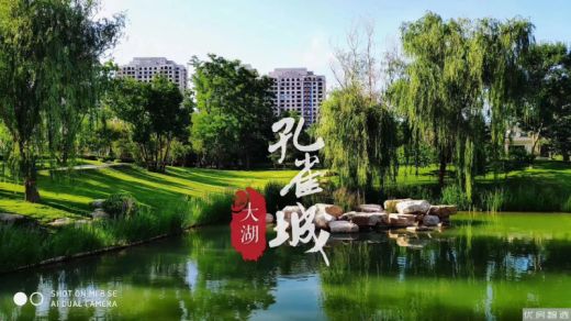 绿宸凤栖华府双十二政策来袭！  买房送车位！