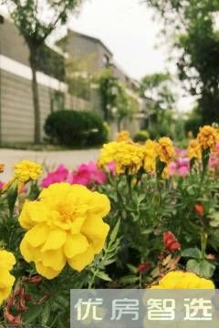 新绎固安来康郡97