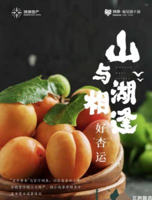 #鸿坤•葡萄酒小镇——好杏正当时