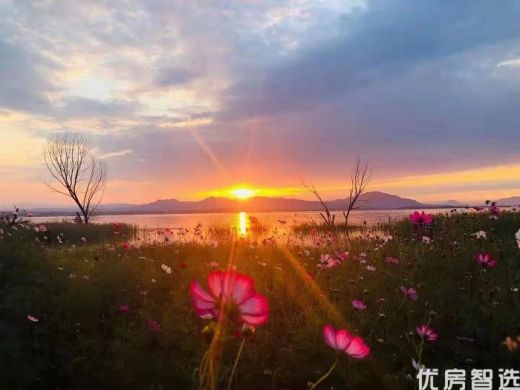 一起来观澜小洱海露营吧