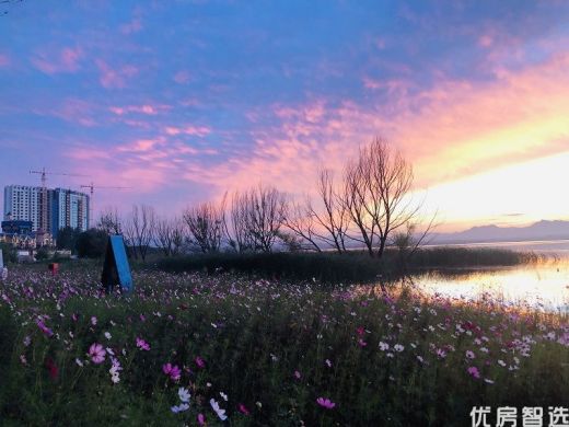 观澜墅的傍晚你能享受到的美景~