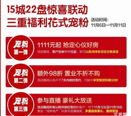 鸿坤悦山湖双十一钜惠活动