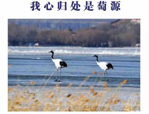 鸿坤悦山湖 ——我心归处是桃园