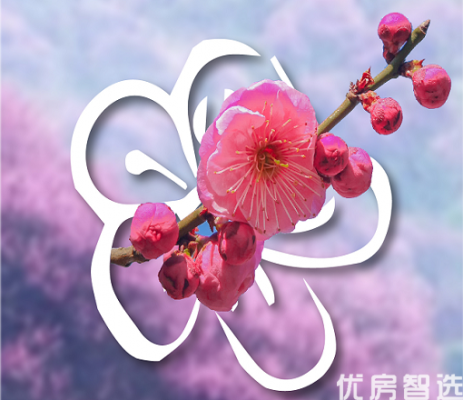  -葡萄酒小镇春日赏花季