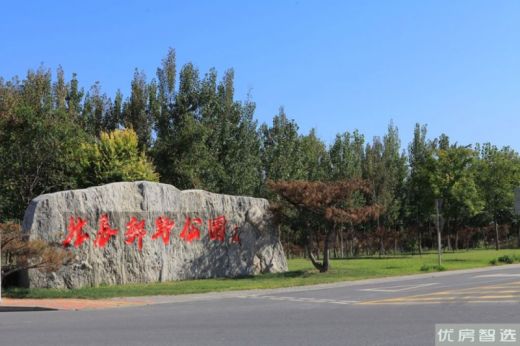 阳光椰风苑项目房源在售均价约7999元/㎡起