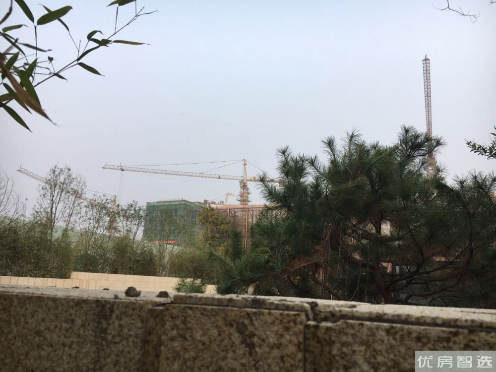 泰合府97
