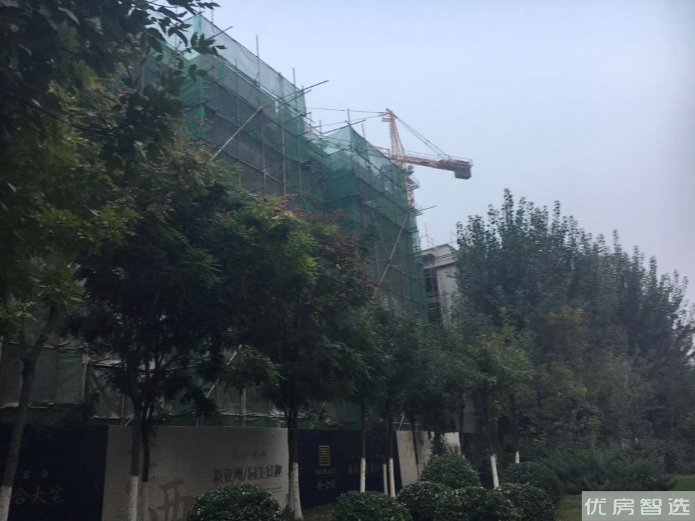 泰合府97