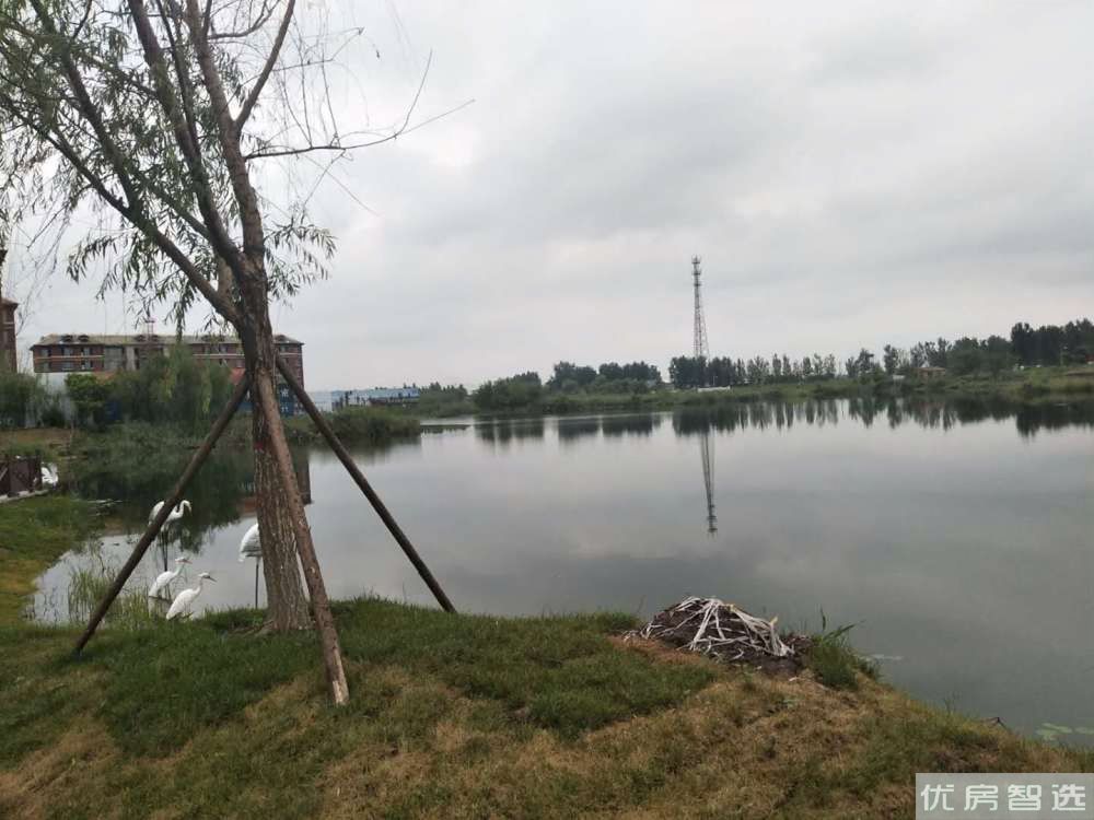 碧桂园莫奈的湖97
