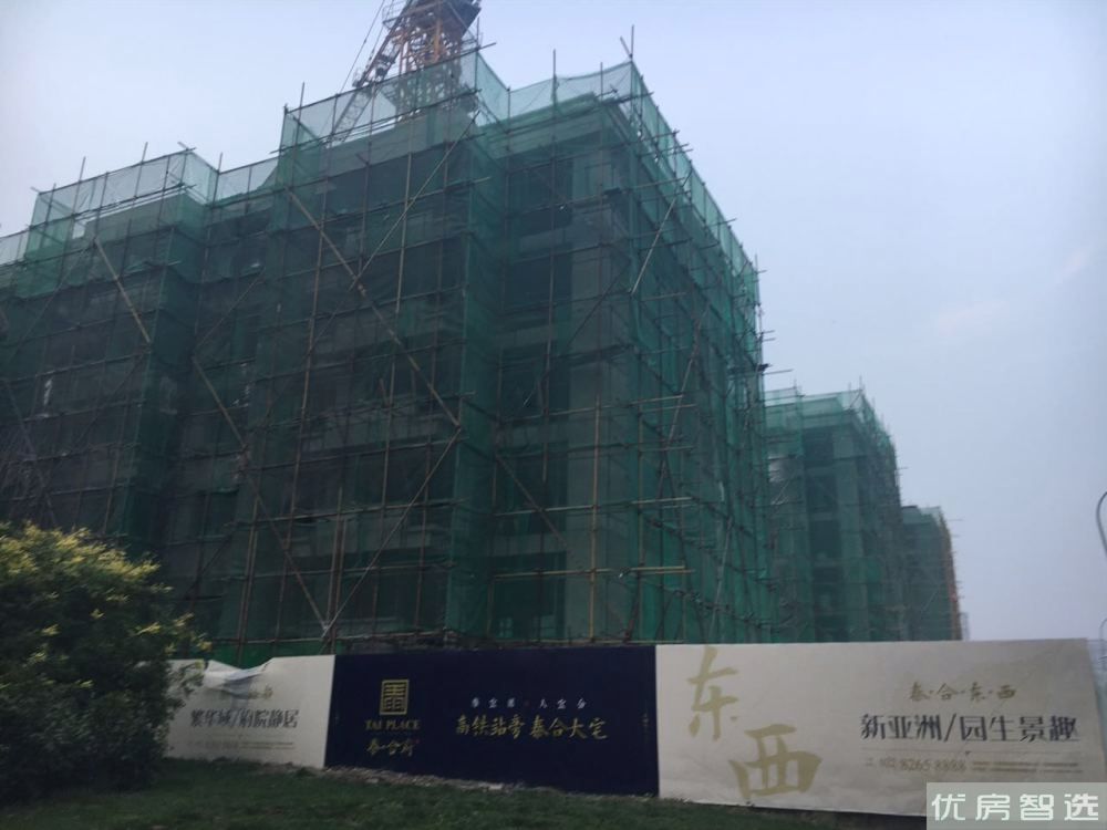 泰合府97