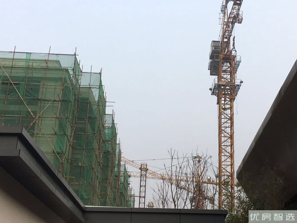 泰合府97