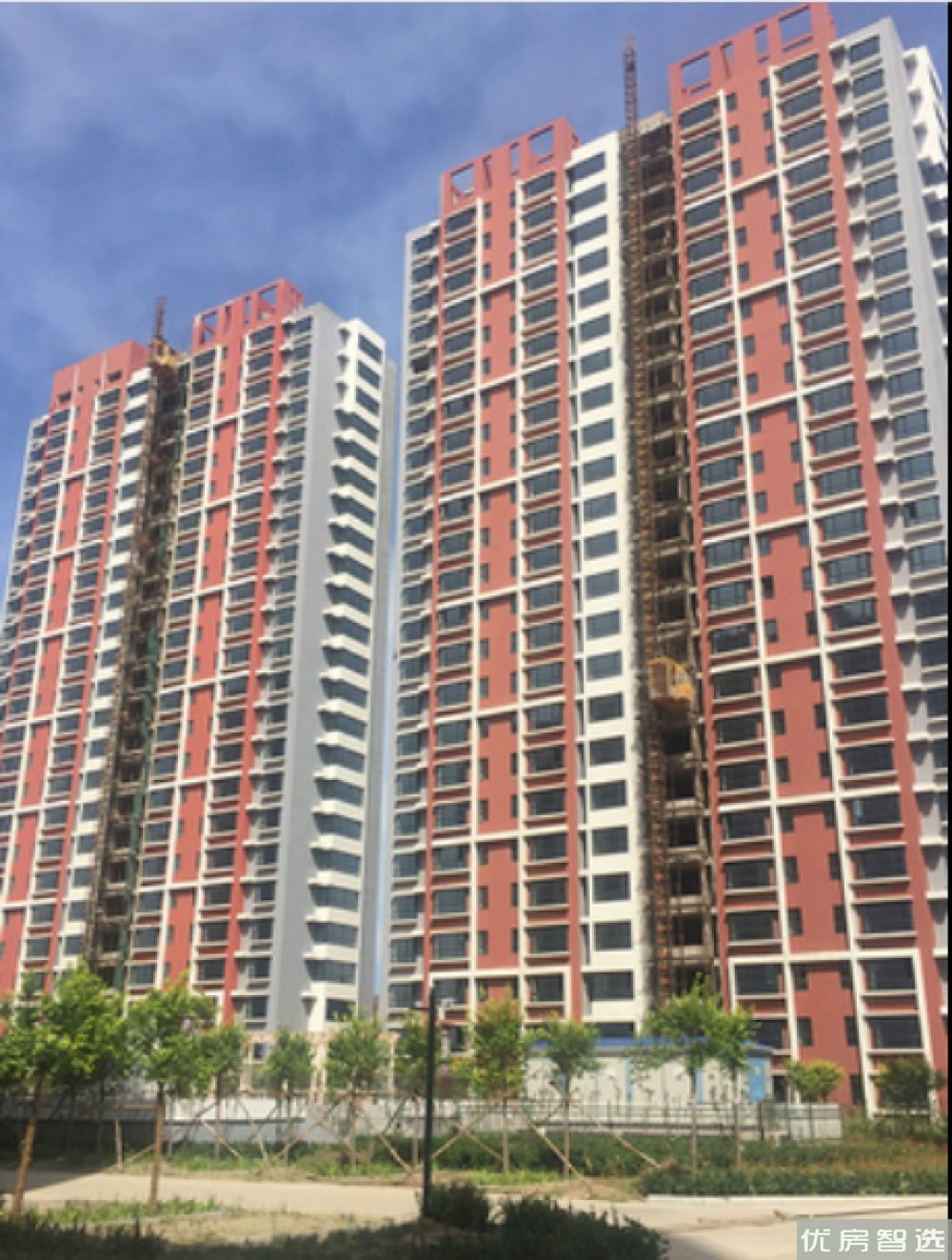 孔雀王府97