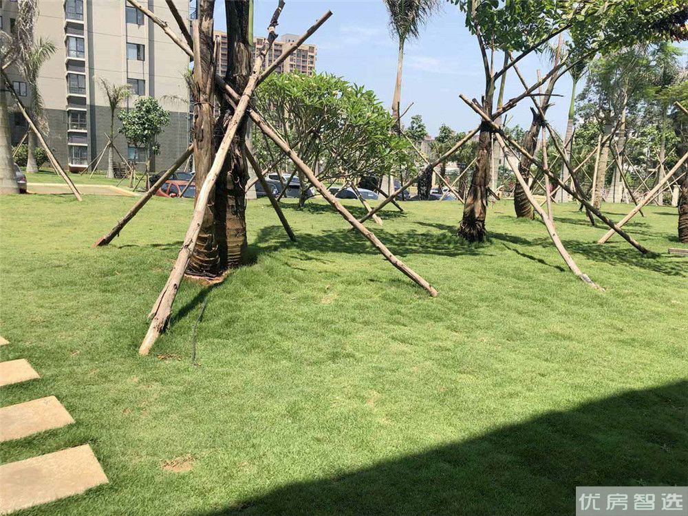 南海之滨97