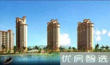 海湾雨林97