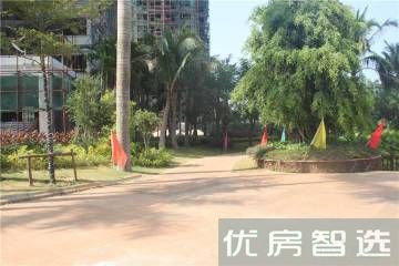 天擎棕榈水城97