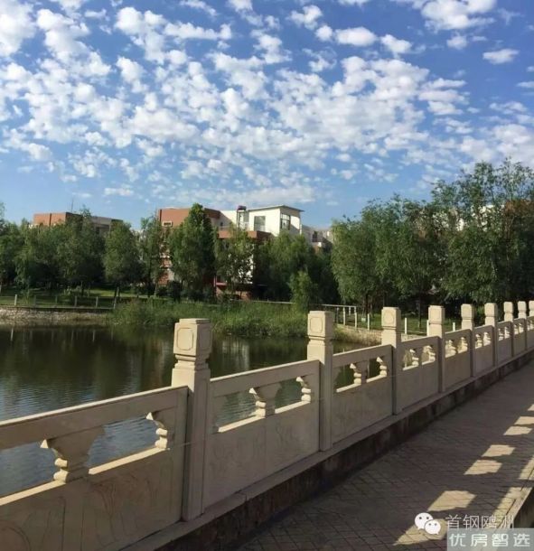 鸥洲