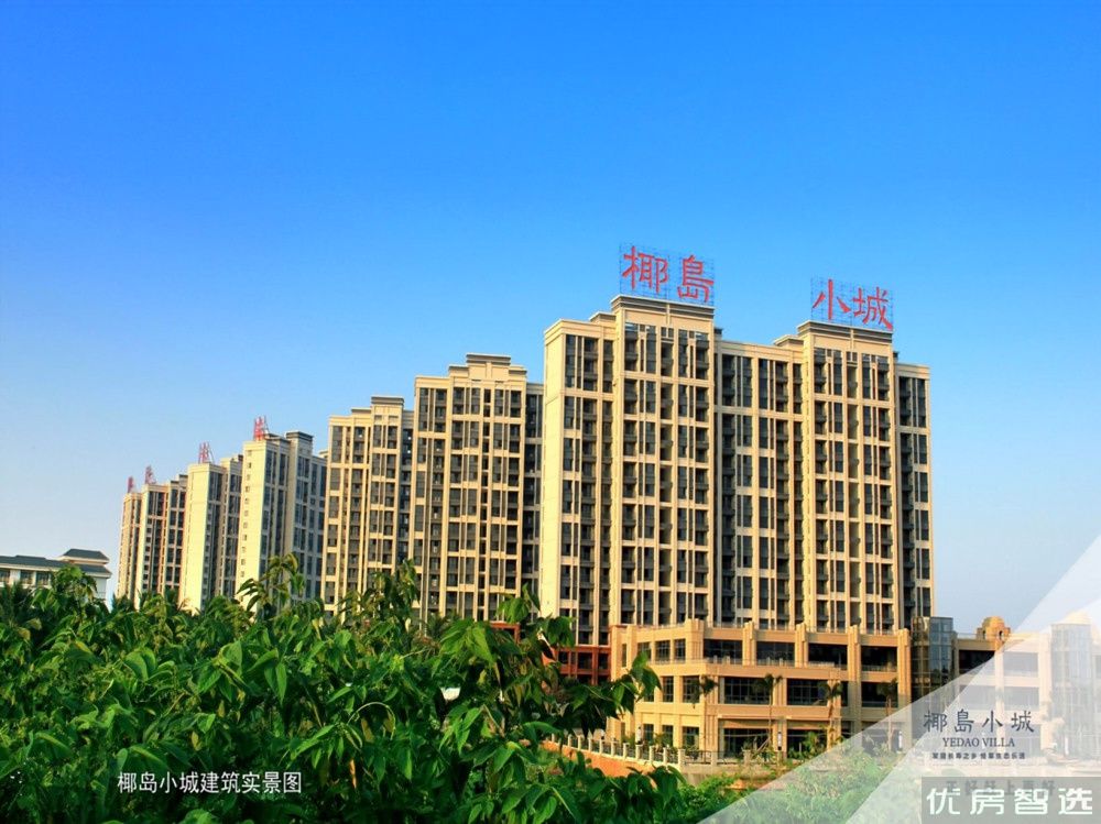椰岛小城97