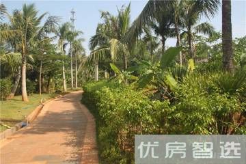 天擎棕榈水城97