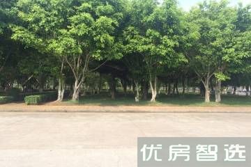 江岸小镇97