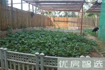 天擎棕榈水城97