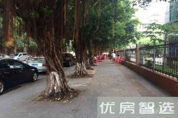 江岸小镇97