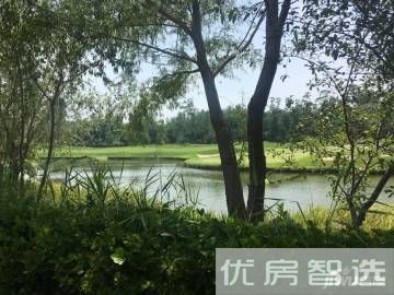 保利和堂97