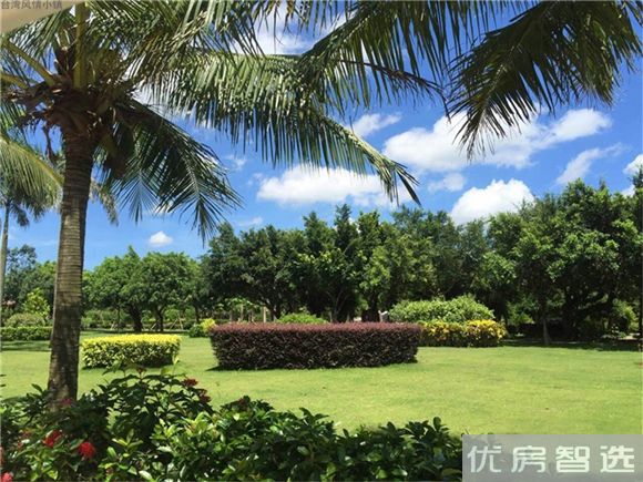  台湾风情小镇     97